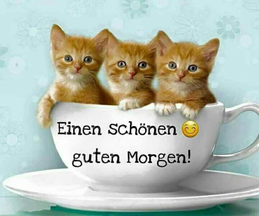 Guten Morgen Nachrichten und Zitate GIF