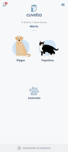 Cuvetta Screen 2