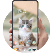 Pet animal starry kitten lovely cute theme