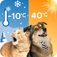 Cat and Dog Weather