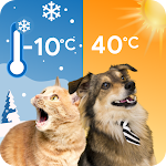 Cat & Dog Weather