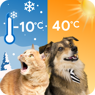 Cat & Dog Weather apk