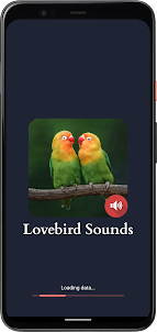Lovebird Sounds