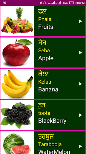 Learn Punjabi From English Screen 3
