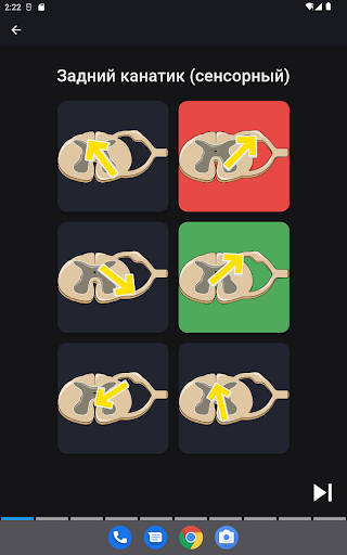 Biology Quiz screenshot 10