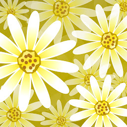 ຮູບໄອຄອນ Daisy Flower Live Wallpaper