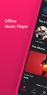 Offline Music Player – MP3 Player 1