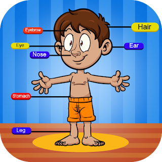 Learn About Body Parts apk
