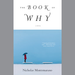 Icon image The Book of Why: A Novel