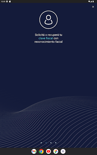 ARCA Móvil screenshot 12