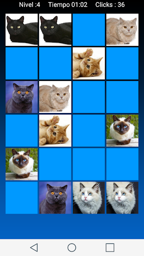 Picture Macth Game -Memory