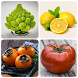 Fruits and Vegetables, Berries - Androidアプリ