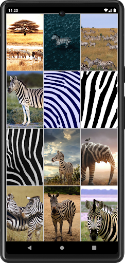 Zebra Wallpapers Screenshot 2 - AppWisp.com