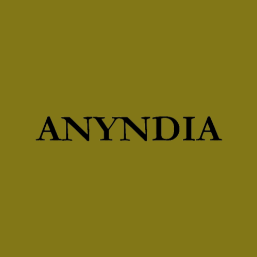 ANYNDIA logo