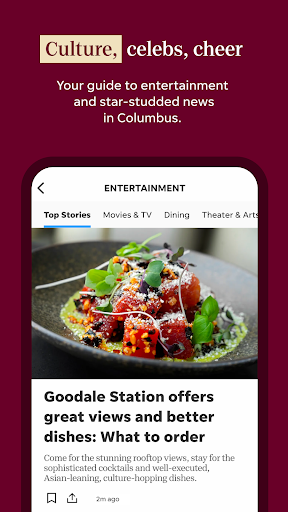 Screenshot of Columbus Dispatch: Local News