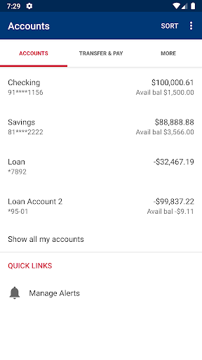 North Georgia Credit Union Screen 3