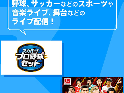 √完了しました！ スカパー オン デマンド 繋がら ない 815856