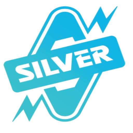 SILVER CONSUMER - SAARTHI logo