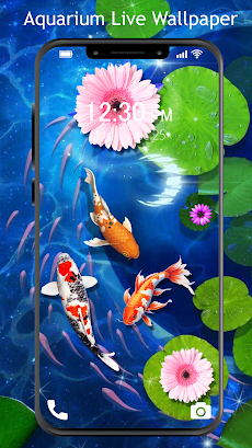 魚 ライブ壁紙 鯉の池のおすすめ画像5