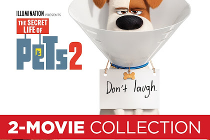 where can i watch secret life of pets 1