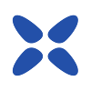 Xvid Player icon