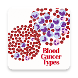 Blood Cancer Types icon
