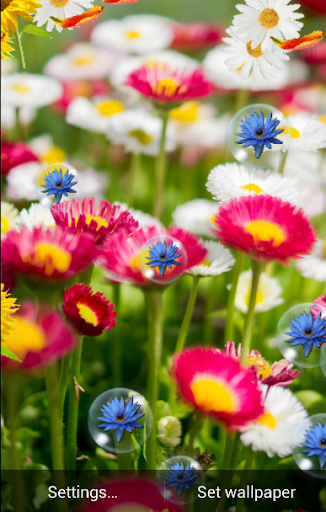 Spring Live Wallpaper Screen 2