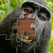 Monkey Jigsaw Puzzles - Primate Jigsaws