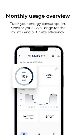 Viddakraft Screen 3
