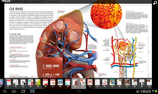 Diabetes - Viver em Equilíbrio