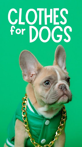 Android application Dog Clothes screenshort