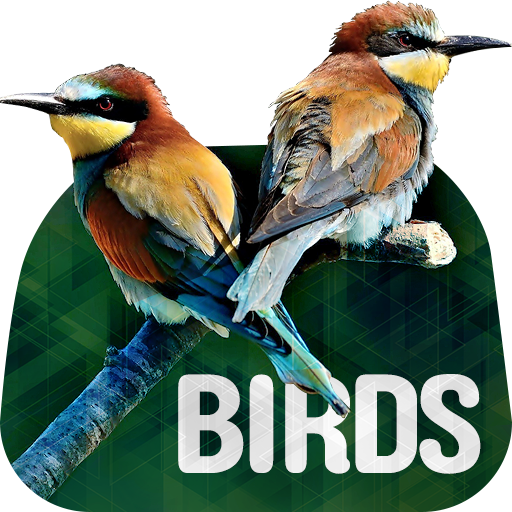 Birds Wallpapers in 4K 2.0.1 Icon