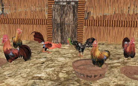 Angry Rooster Fight Simulator