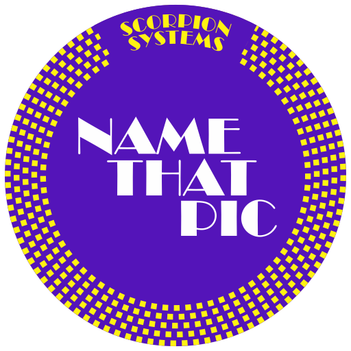 NameThatPic logo