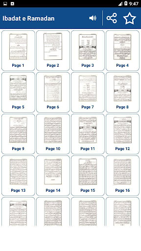 Ibadat e Ramadan - Urdu Book Offline