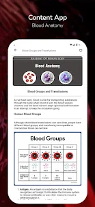 Blood Anatomy
