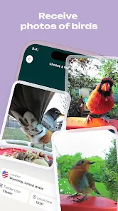 Bird Buddy: Tap Into Nature on the App Store