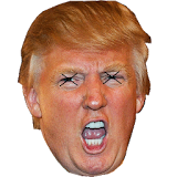 Donald Trump game icon