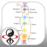 Acupressure Massage Qigong (YMAA) icon