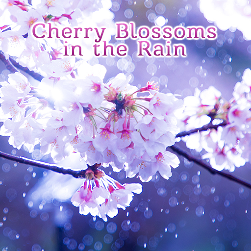 Cherry Blossoms in the Rain logo