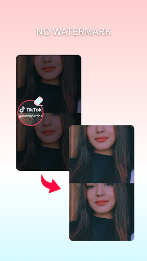 Tik Downloader Screen 2