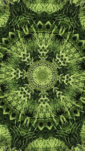 Mandalize: Relaxing Mandala Art Visual Meditation v2 Unlocked Mod 3