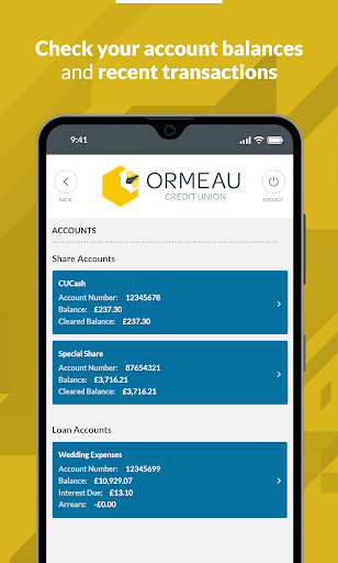 Ormeau Credit Union Screen 2