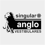 Plurall - Singular - Anglo icon