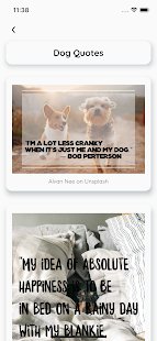 Doggo The Love: The ideal app for Dog Lovers Screenshot
