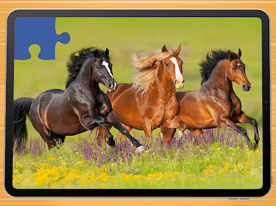 Horse puzzle game PRO