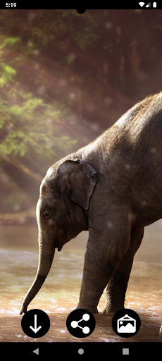 Elephant Wallpapers Screen 3
