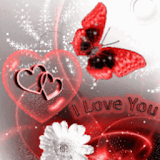Red Butterfly White Flower Lov icon