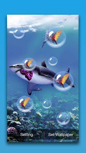 Shark Live Wallpaper Screen 2