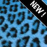 GO Contacts Blue Cheetah icon
